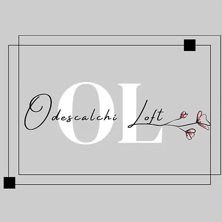 Odescalchi Loft *